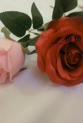 Yuyu Miao S – Rose 100 Yuan Portfolio (58P)