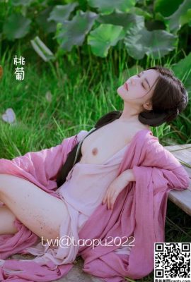 مجموعه عکاسی خصوصی از بدن مدل چینی تائو پو (26P)