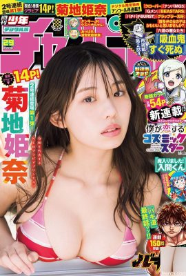 (Kikuchi Himena) عکس دختری با سینه درشت که در حال نشان دادن دکل V عمیق در بیکینی (13P)