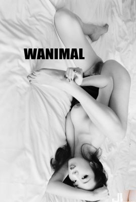 WANIMAL آثار سال نو ژانویه 2018 (41P)