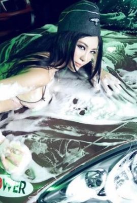 ویژگی های مدل تفسیر Car Wash MM (12p)