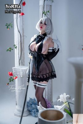 (مجموعه اینترنت) Tiny Asa Yorha-2B (85p)