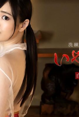 (مای شیراکاوا) بدن سکسی الهه (30p)