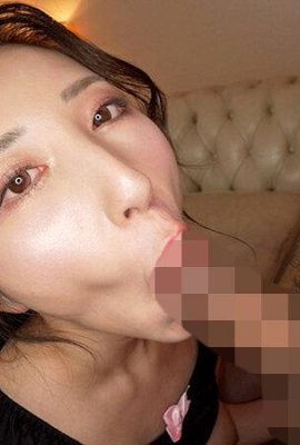 Kitano Mina: سرویس ظروف سرباز