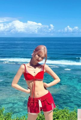 “شاه بلوط” از مقیاس و برآمدگی های جلو و عقب می شکند ، که به وضوح وسوسه انگیز است (10p)