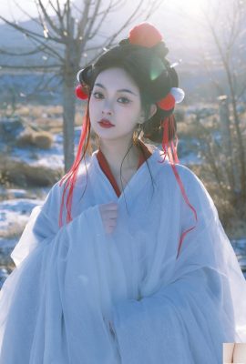 تولد دوباره پاییز کوهستان پاییز (22p)