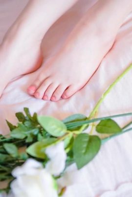 (مجموعه آنلاین) پیپی نای – صاحبخانه (50P)